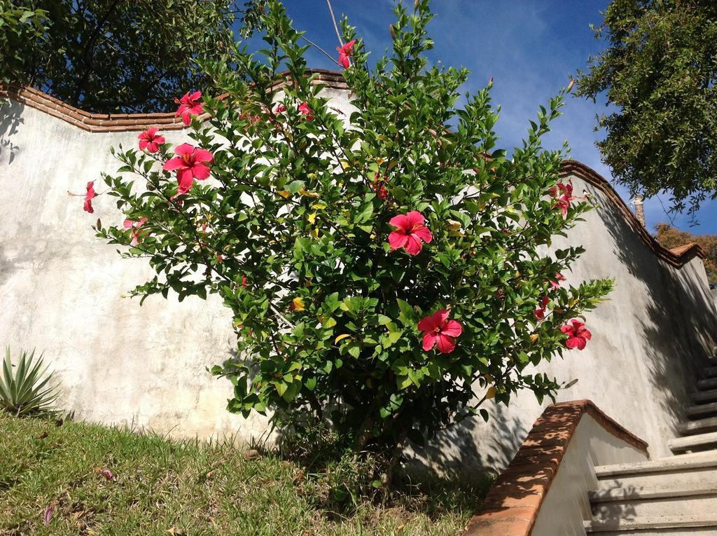 Отель Casa Flor De Mar Зиполите Экстерьер фото